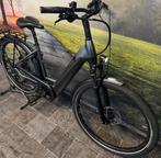 Pegasus STRONG EVO 10 Electrische fiets met 625WH Accu, Fietsen en Brommers, Ophalen of Verzenden, Zo goed als nieuw, 50 km per accu of meer