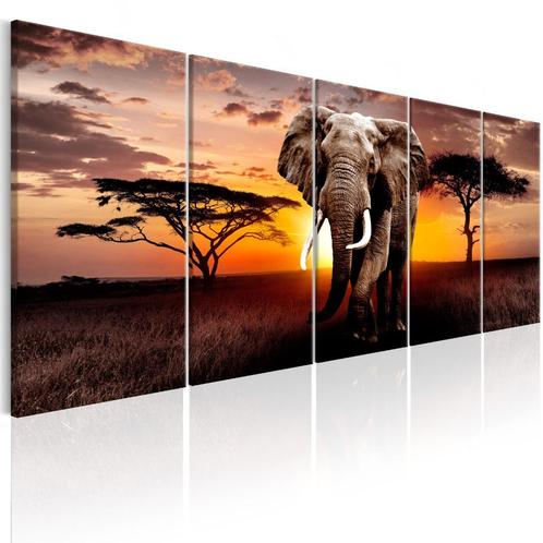 Tableau 5 pièces sur toile Eléphant d'Afrique 240 x 90 cm, Collections, Posters & Affiches, Neuf, Animal et Nature, Rectangulaire horizontal