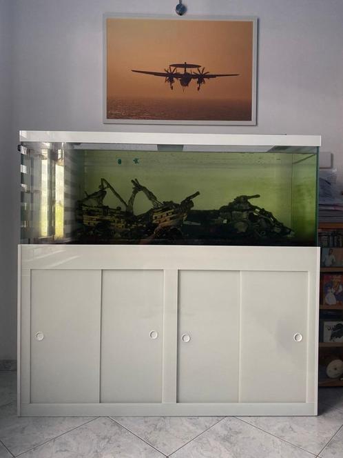 Aquarium, Dieren en Toebehoren, Vissen | Aquaria en Toebehoren, Zo goed als nieuw, Gevuld zoetwateraquarium, Ophalen