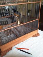 shamalijster, Dieren en Toebehoren