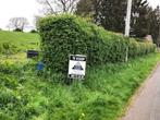 Grond te koop in Marcouray, 1500 m² of meer