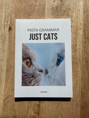 Nieuw Irene Schampaert - Insta Grammar - Just Cats beschikbaar voor biedingen