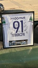 gesigneerd en matchworn shirt Teodorczyk 16/17, Verzamelen, Ophalen, Gebruikt, Shirt