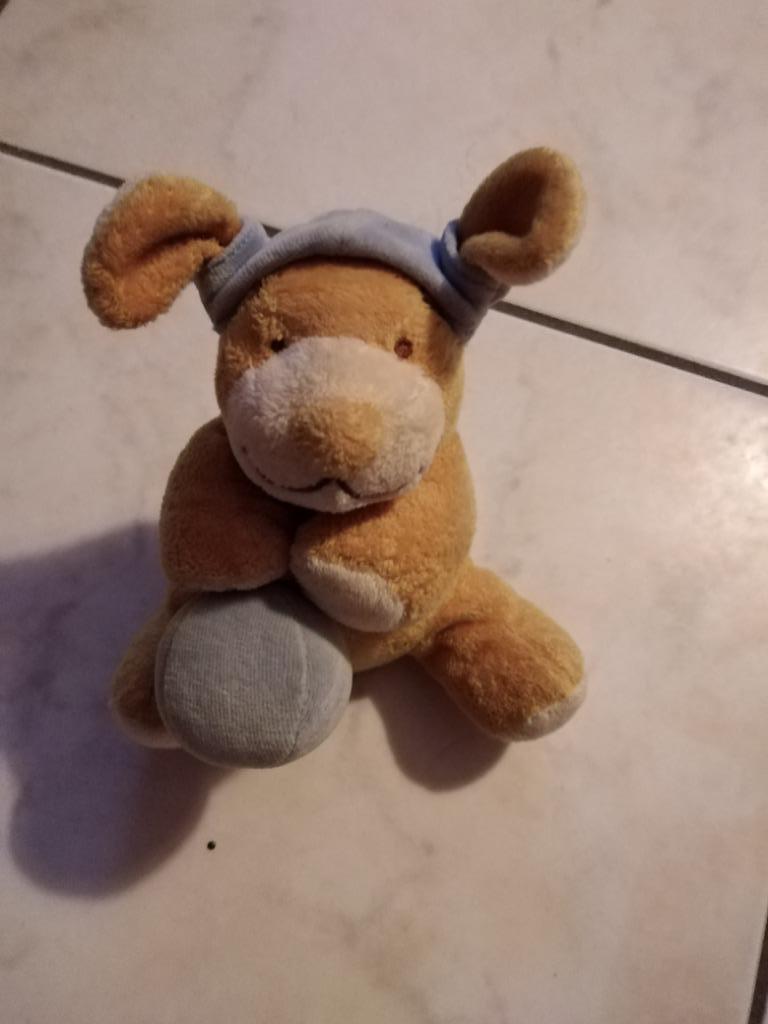 knuffel noukie,s hond  muziekknuffel (doos nic jan 2025), Ophalen, Nieuw, Hond