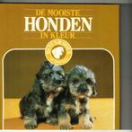 De mooiste honden in kleur  weten en doen 140 blz, Ophalen of Verzenden, Zo goed als nieuw, Honden