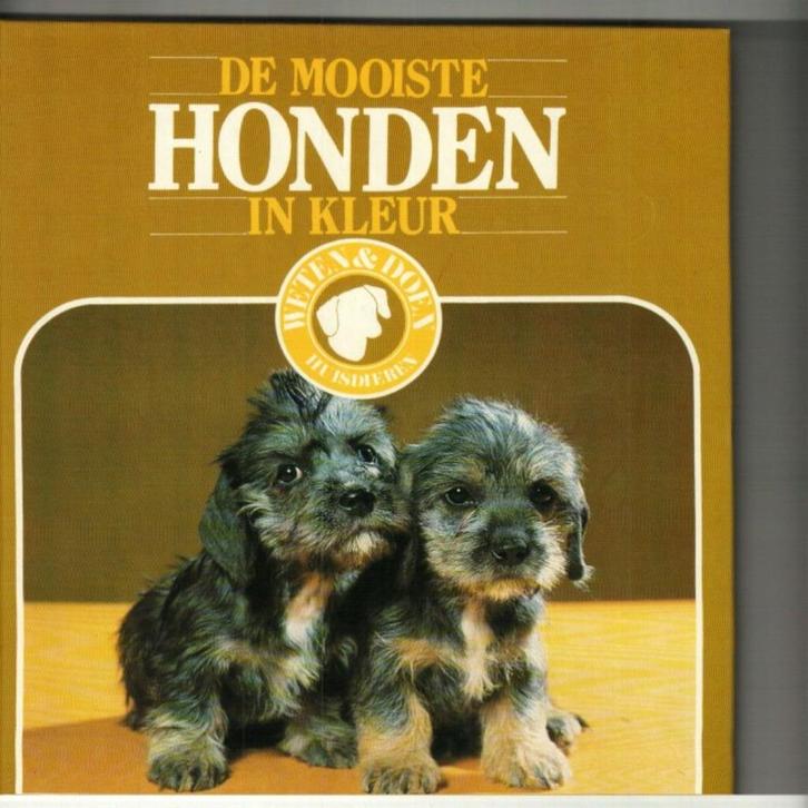 De mooiste honden in kleur  weten en doen 140 blz, Boeken, Dieren en Huisdieren, Zo goed als nieuw, Honden, Ophalen of Verzenden