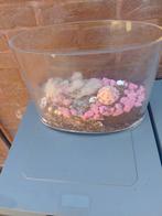 Glazen stolp, Huis en Inrichting, Woonaccessoires | Stolpen, Ophalen