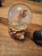 Lot de boules à neige, Enlèvement