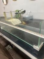 aquarium en terrarium, Dieren en Toebehoren, Reptielen en Amfibieën | Toebehoren, Ophalen, Zo goed als nieuw