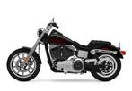 Harley Davidson benzinetank, Nieuw