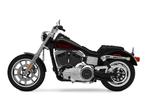 Harley Davidson benzinetank, Motoren, Onderdelen | Harley-Davidson, Ophalen, Nieuw
