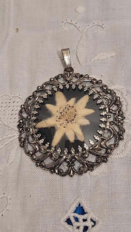 Ancien pendentif Edelweiss séché sous verre, Bijoux, Sacs & Beauté, Bijoux anciens, Pendentif, Autres matériaux, Enlèvement ou Envoi