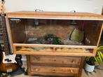 Vend terrarium en OSB 120x60x60, Dieren en Toebehoren, Ophalen, Zo goed als nieuw