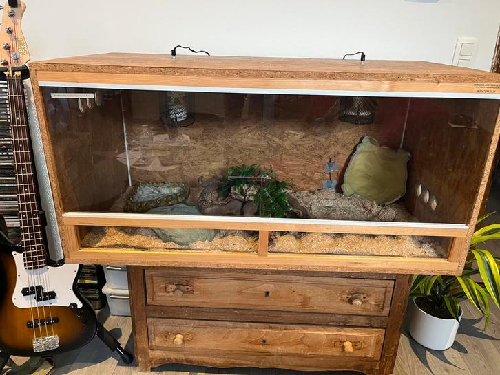 Vend terrarium en OSB 120x60x60, Dieren en Toebehoren, Reptielen en Amfibieën | Toebehoren, Zo goed als nieuw, Ophalen