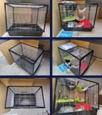 Cage Zeno 2 + accessoires pour rats, Animaux & Accessoires, Rongeurs & Lapins | Accessoires, Accessoire pour rongeur, Enlèvement
