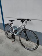 Vélo de sport pour femme Scoppio blanc, Autres marques, Comme neuf, Enlèvement, 28 pouces