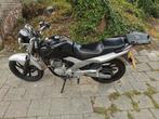 Yamaha ybr 250, Motos, 1 cylindre, Naked bike, 12 à 35 kW, Particulier
