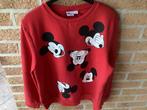 Disney sweater large, Ophalen of Verzenden, Zo goed als nieuw