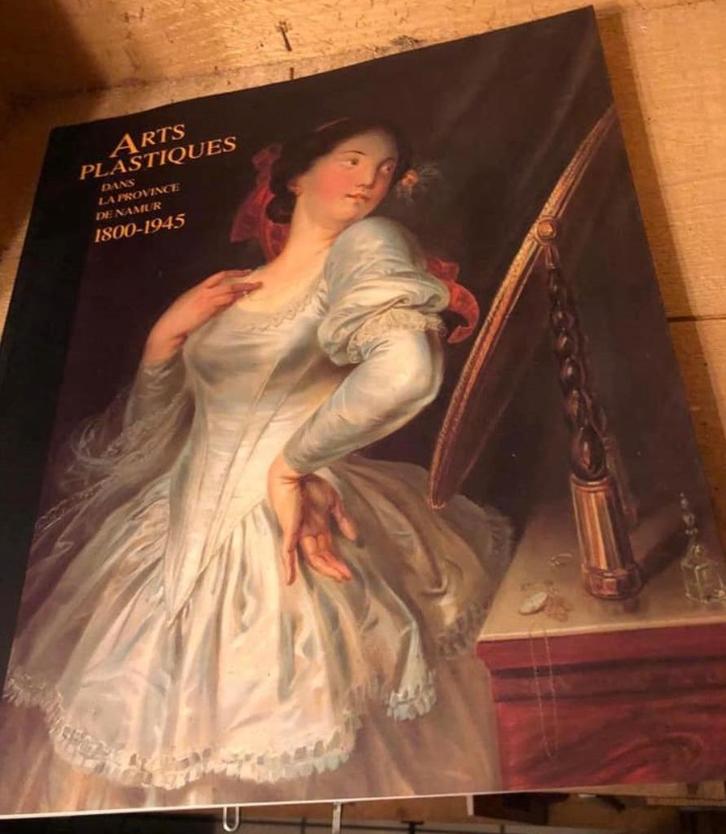 Arts plastiques de la province de Namur 1800-1945, Boeken, Kunst en Cultuur | Beeldend, Nieuw, Ophalen of Verzenden