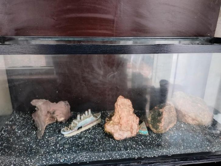 Goedkope Aquarium 1m20 breed, Dieren en Toebehoren, Reptielen en Amfibieën | Toebehoren, Gebruikt, Overige typen, Ophalen