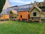 nieuw kippenhok tik/tok GRATIS LEVERING + MONTAGE, Dieren en Toebehoren, Pluimvee | Toebehoren, Ophalen of Verzenden, Nieuw, Kippenhok of Kippenren