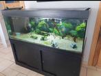 Aquarium+-600l, Dieren en Toebehoren, Vissen | Aquaria en Toebehoren, Ophalen, Zo goed als nieuw