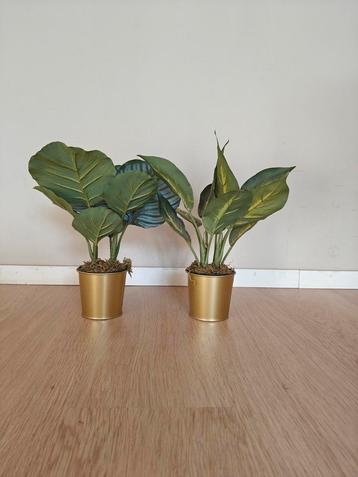 2 kleine kunstplanten + gouden potjes beschikbaar voor biedingen