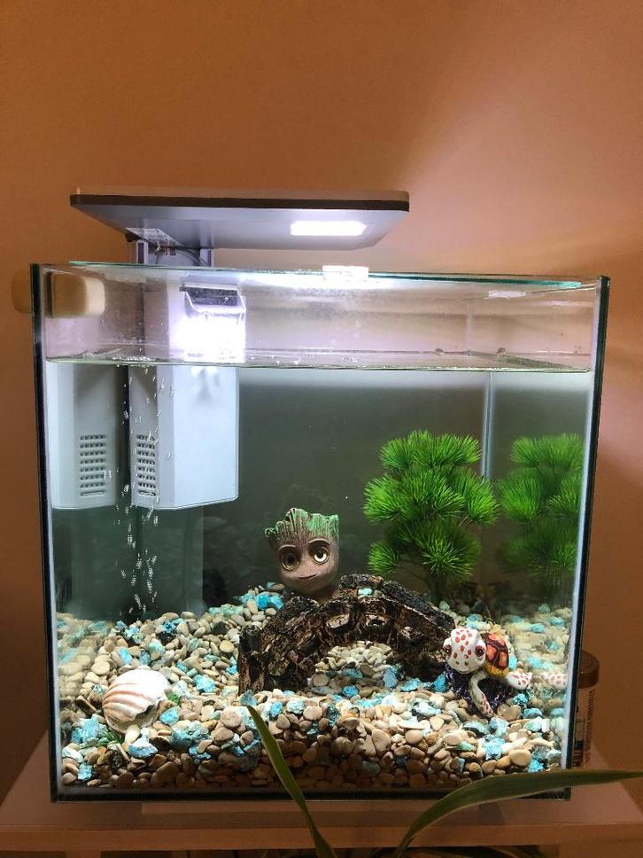 Aquarium, Dieren en Toebehoren, Vissen | Aquaria en Toebehoren, Zo goed als nieuw, Leeg aquarium, Ophalen