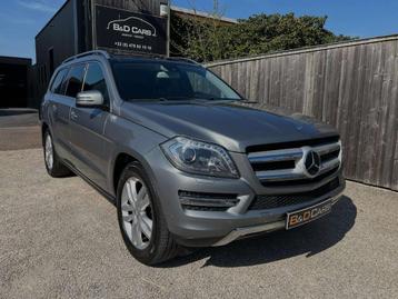 Mercedes-Benz GL 350 CDI BlueTEC LICHTE VRACHT/UTILITAIRE beschikbaar voor biedingen