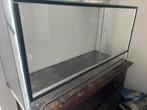 Terrarium voor reptielen, Dieren en Toebehoren, Ophalen, Gebruikt, Terrarium of Paludarium
