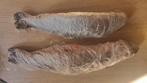 Forel en Zalmforel te koop., Ophalen