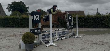 C pony , chique merrie .  beschikbaar voor biedingen