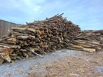 50 Stères de bois de chauffage, Tuin en Terras, Brandhout, Stammen, Ophalen