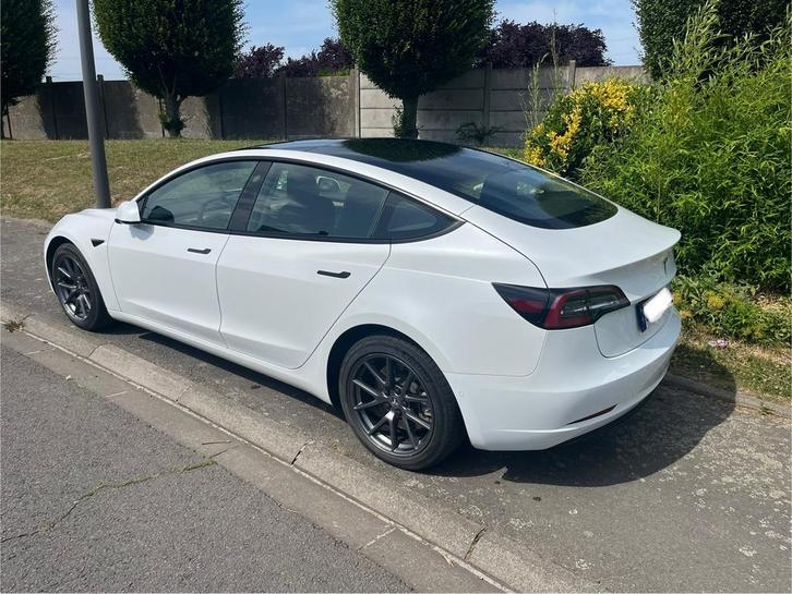 Tesla, model 3 sr+ eenhoorn (325 pk), Auto's, Tesla, Particulier, Model 3, Achteruitrijcamera, Adaptieve lichten, Adaptive Cruise Control