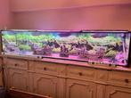 aguarium alles  2,50cm 40/50, Dieren en Toebehoren, Vissen | Aquaria en Toebehoren, Ophalen of Verzenden, Zo goed als nieuw