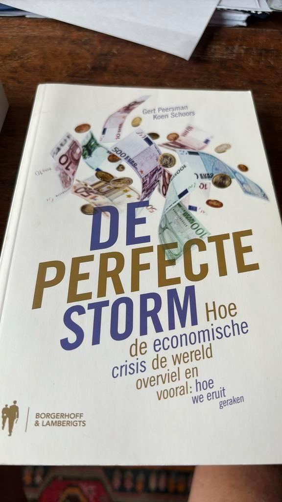 Koen Schoors - De perfecte storm, Boeken, Economie, Management en Marketing, Zo goed als nieuw, Ophalen
