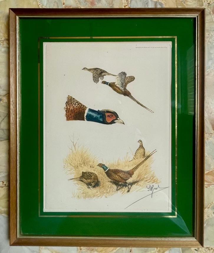 Boris RIAB (1898-1975) - ets - studie van fazanten, Antiek en Kunst, Kunst | Etsen en Gravures, Ophalen of Verzenden