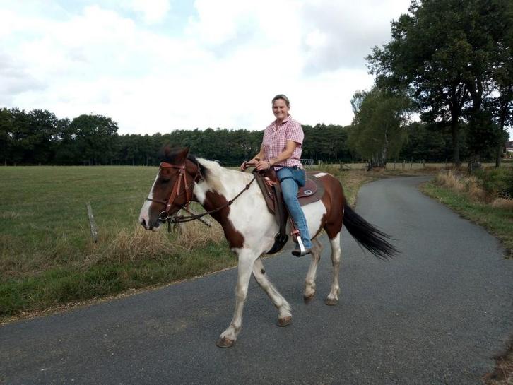 Super brave merrie zoekt nieuwe thuis, Dieren en Toebehoren, Pony's, Merrie