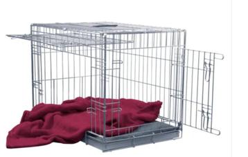 Honden bench beschikbaar voor biedingen