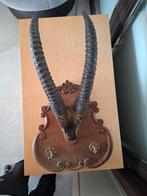 Porte manteau trophée, Maison & Meubles, Accessoires pour la Maison | Portemanteaux, Enlèvement