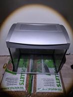 aquarium superfish, Dieren en Toebehoren, Ophalen, Gebruikt, Leeg aquarium