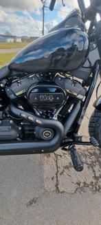 Belle fat bob 114, Motos, 1868 cm³, 2 cylindres, Particulier