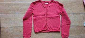 Roze cardigan - Someone - maat 134 - (maat 9 jaar), Kinderen en Baby's, Kinderkleding | Maat 134, Gebruikt, Meisje, Trui of Vest