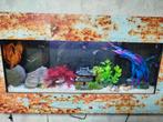 aquarium hang model voor tegen muur, Dieren en Toebehoren, Vissen | Aquaria en Toebehoren, Ophalen, Gebruikt, Leeg aquarium