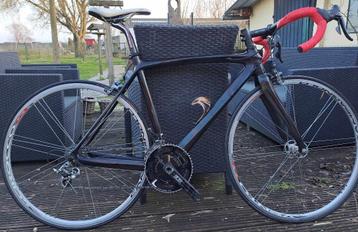 Carbon racefiets PROVEX Campa Chorus, 53 (m/v). beschikbaar voor biedingen