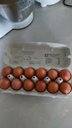 Verse eieren van eigen kippen te koop!, Dieren en Toebehoren, Kip