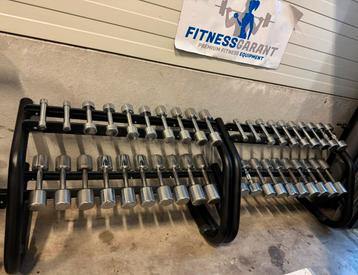 Haltères Technogym chromés 1 10 kg avec support Black Line disponible aux enchères