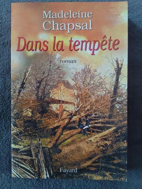 "Dans la tempête" Madeleine Chapsal (2000), Livres, Romans, Comme neuf, Europe autre, Enlèvement ou Envoi