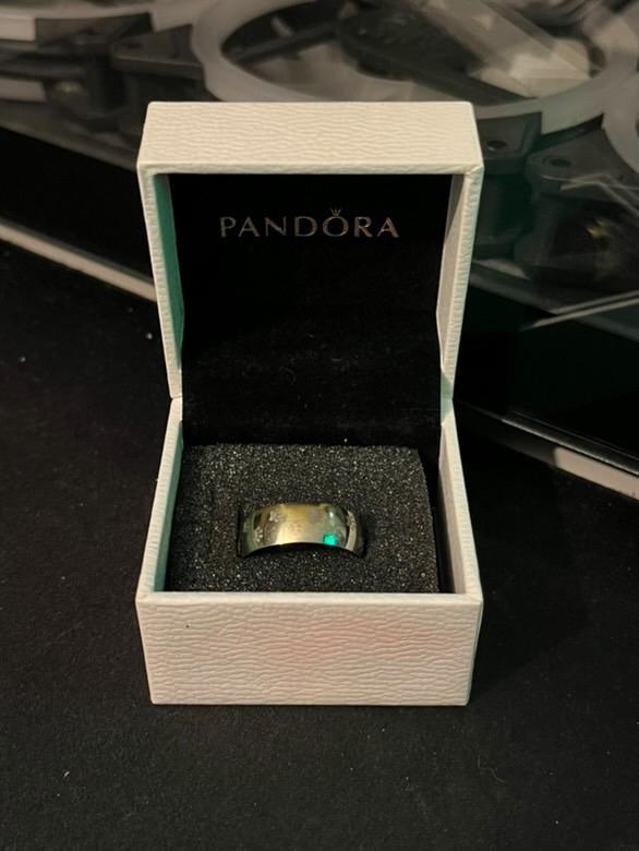 Bagues en Acier Inoxydable (N27), Handtassen en Accessoires, Ringen, Zo goed als nieuw, Ophalen of Verzenden