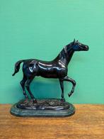 Cheval en bronze antique sur marbre, Enlèvement ou Envoi, Bronze